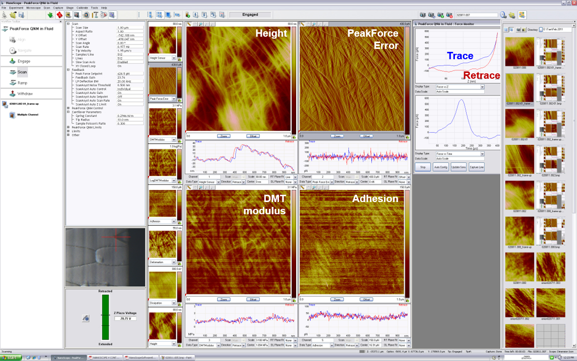 nanoscope analysis 1.5 free download